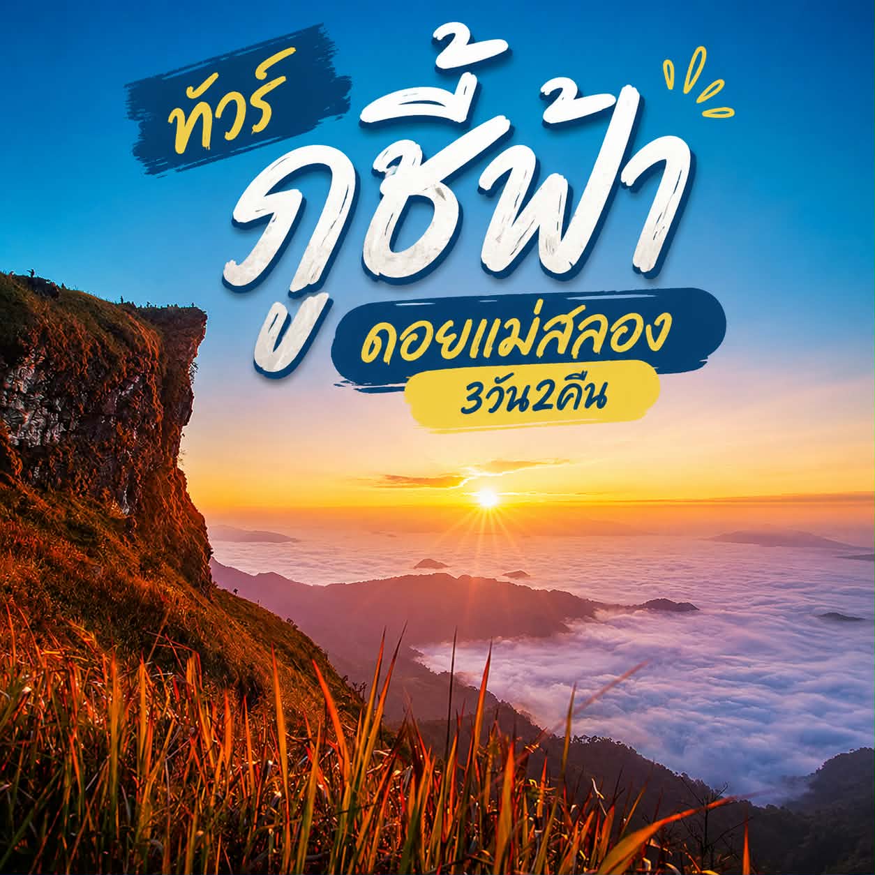 ทัวร์ภูชี้ฟ้า ทัวร์ดอยแม่สลอง
