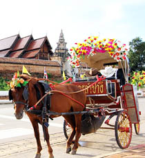 ทัวร์ลำปาง ทัวร์เชียงใหม่