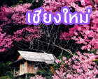 ทัวร์เชียงใหม่